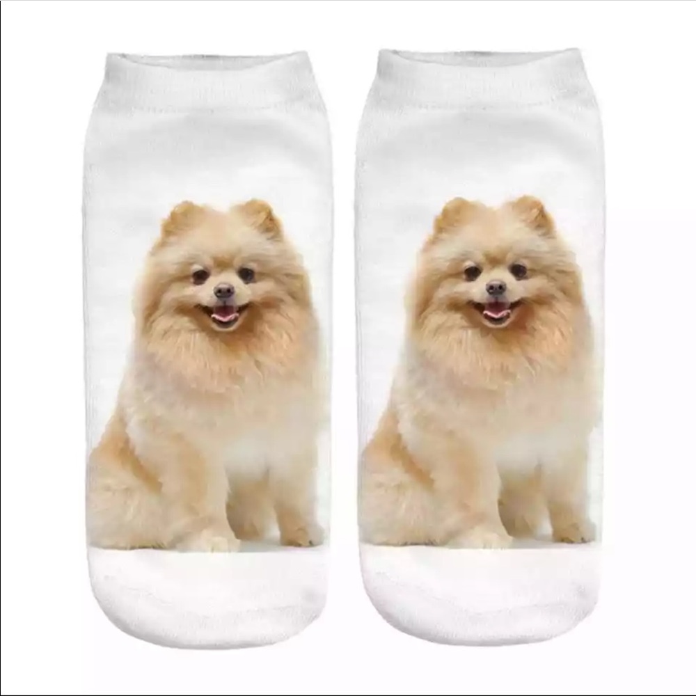 Unisex 3D Printed Socks - Cute Pomeranian